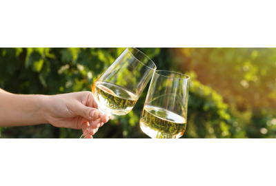 5 x de Beste Pinot Grigio wijnen