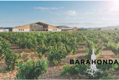 Bodegas Barahonda