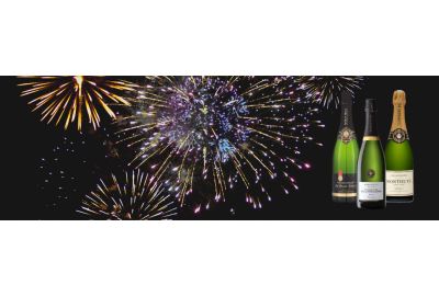 Bubbels om te proosten