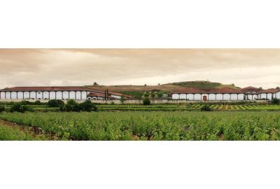 In the Spotlights: wijnhuis El Coto de Rioja