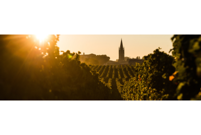 Rode wijn uit Bordeaux