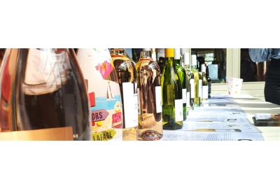 Top 10 voorjaarswijnen van onze wijnproeverij 2024