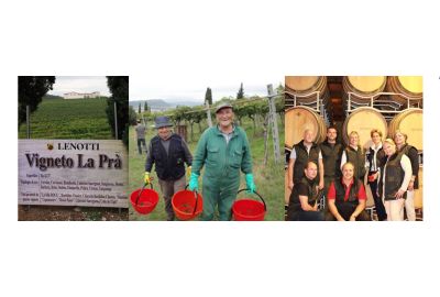 achter-de-schermen-bij-wijnhuis-lenotti