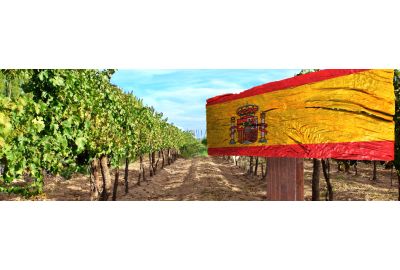 de-4-populairste-spaanse-wijnen