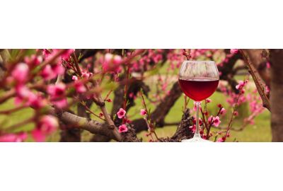 de-bestseller-van-onze-voorjaarsproeverij