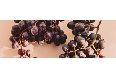 dingen-die-je-niet-wist-over-tannine