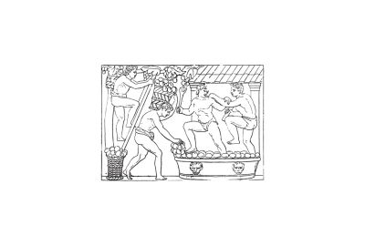 hoe-is-wijn-ontstaan