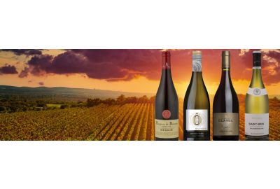 Aanbevelingen van Hubrecht Duijker: vinpressionist