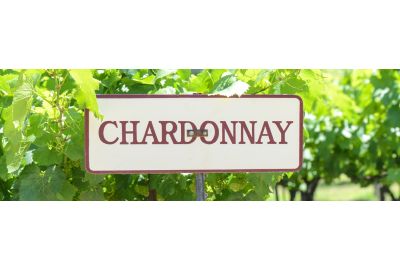 in-the-spotlights-chardonnay