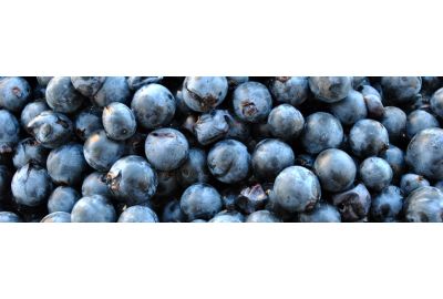 in-the-spotlights-montepulciano