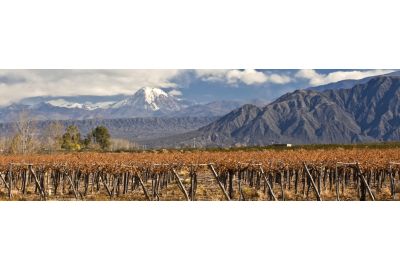 in-the-spotlights-wijnland-argentinie