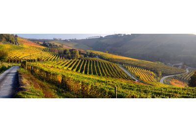 in-the-spotlights-wijnland-italie