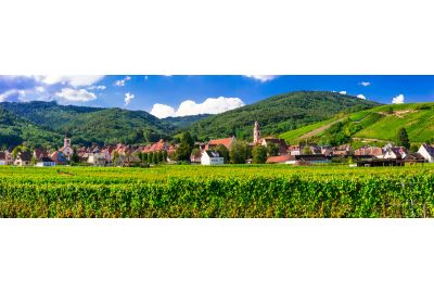 in-the-spotlights-wijnstreek-elzas