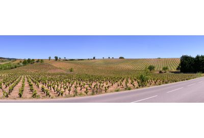 in-the-spotlights-wijnstreek-rueda