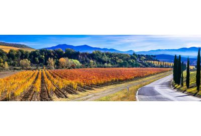 in-the-spotlights-wijnstreek-toscane