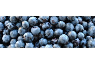 in-the-spotlights-merlot