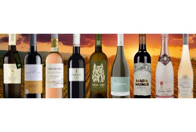 Maak kennis met onze nieuwe wijnen