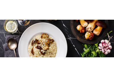 welke-wijn-bij-paddenstoelen