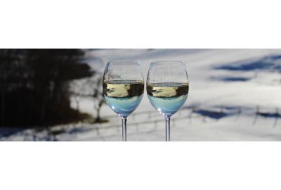 wijntips-welke-wijnen-drink-je-met-deze-koude-temperaturen