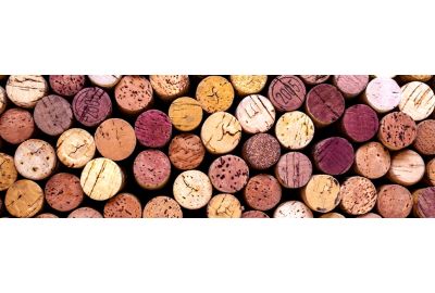 wist-je-dat-leuke-weetjes-over-wijn